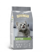 DIVINUS KITTEN 2 