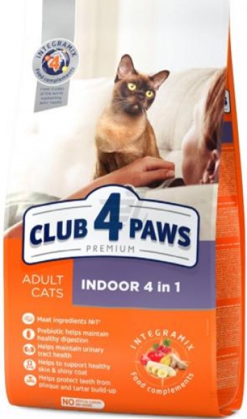 Club 4 Paws Indoor 14 