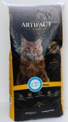 ARTIFACT CAT 20 �� 2