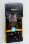 ARTIFACT CAT 20 �� 3