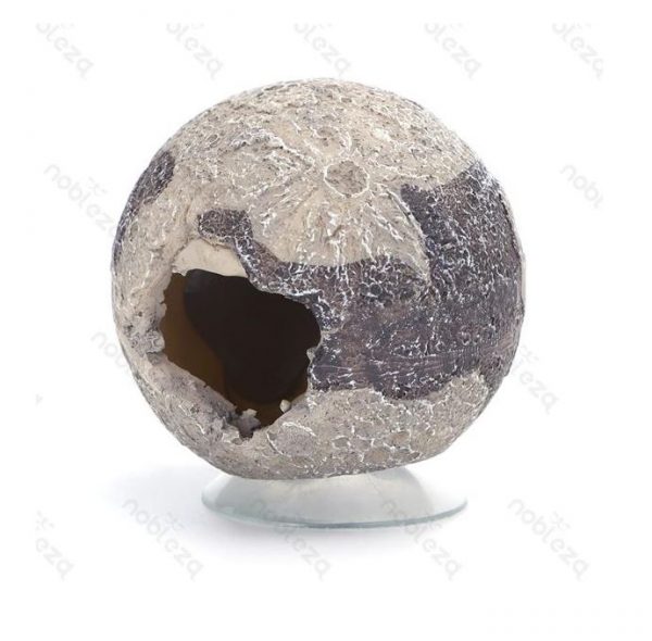 ��������� �� ����� �Moon� 6/6/6.5 ��