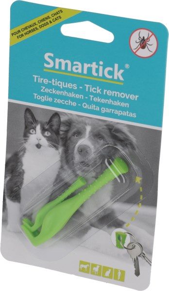 ����� �� ������� 2 ��. Smartick Kerbl ������