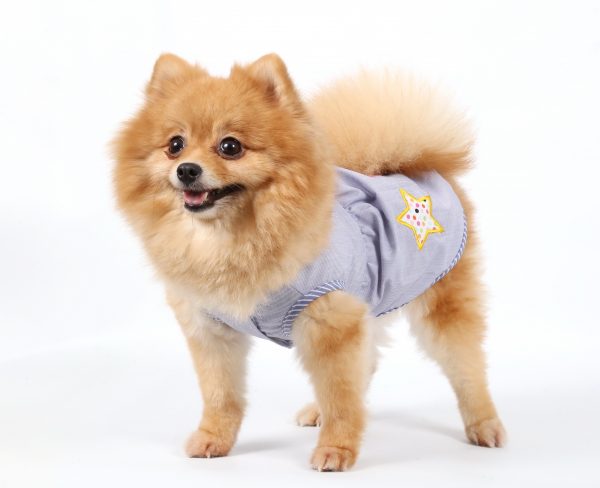 ����� �Patch blue� S, M 2