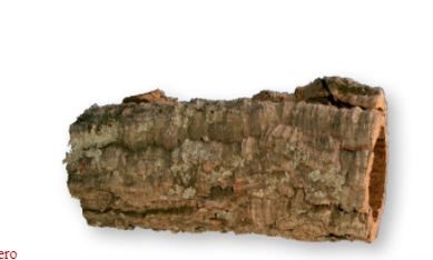 ��������� Wine Wood S 15-30 �� Croci
