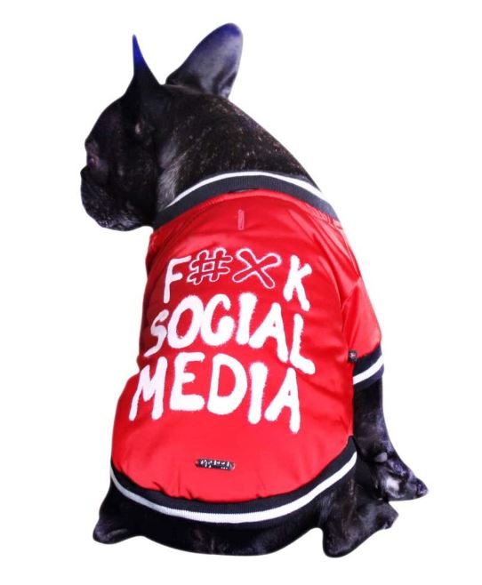 ������ Steppjacke social media
