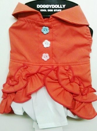 ����� Orange