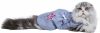 ����� �Patch blue� S, M 3