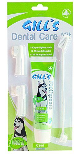 �������� Dental