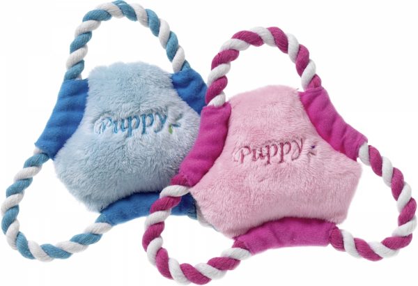 ������� �Puppy� ���� ������ � ���� 2 ����� Flam
