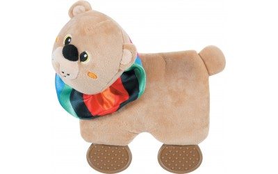 ������� ���� �Square Bear� 25 ��