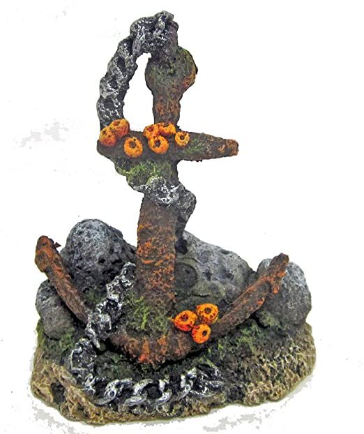 ��������� ����� Croci