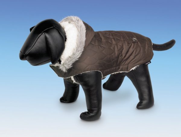 ��� POLAR ������
