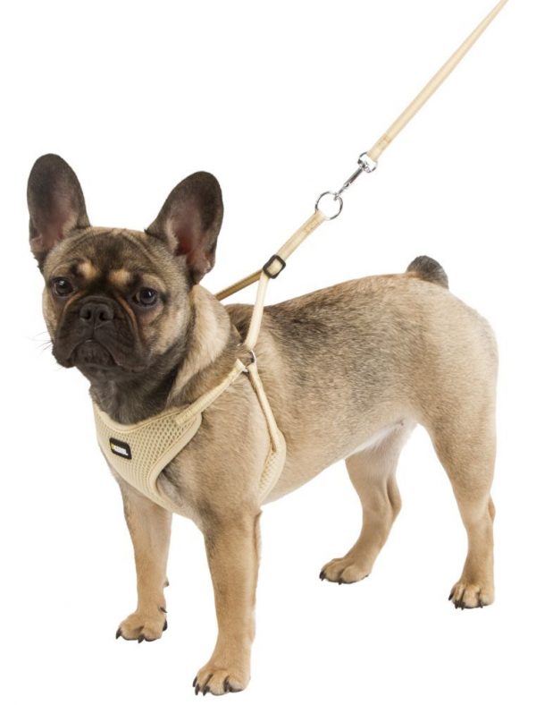����� + ��������� Puppy 10 ��/24-44 ��