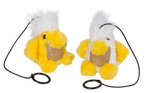 ������� ������� �� ����� �Bird Chico�