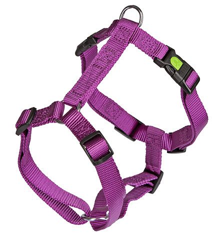 ��������� Miami purple 30-40 ��,15 ��