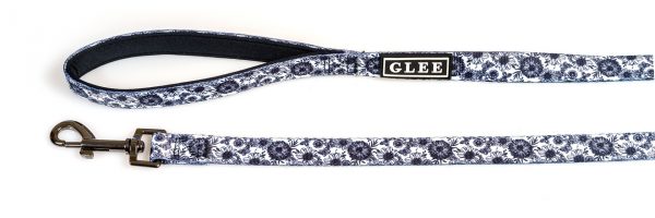 GLEE ����� 2.0/120 �� DAISY