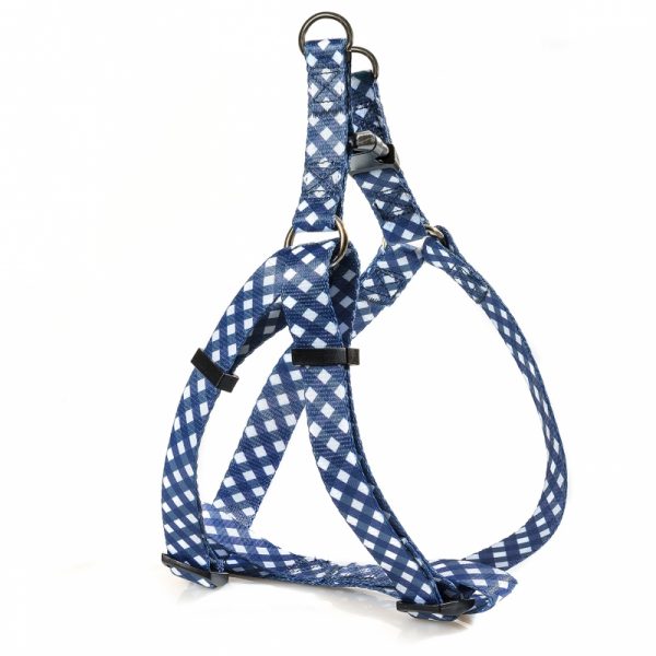 GLEE ��������� �-Type 1.5/25-45 �� BLUE CUBE