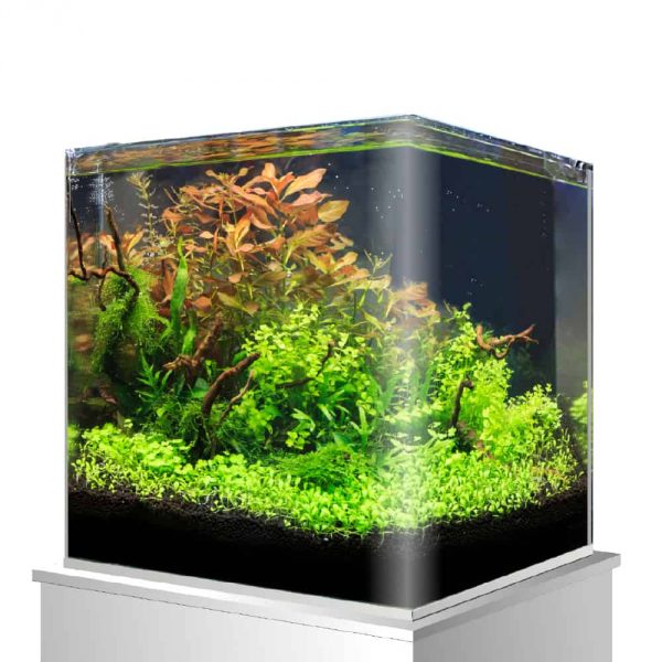 �������� AMTRA NANOTANK 20 (25/25/30��) Croci