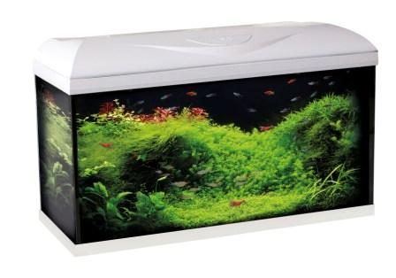 �������� Riviera 60 LED �����