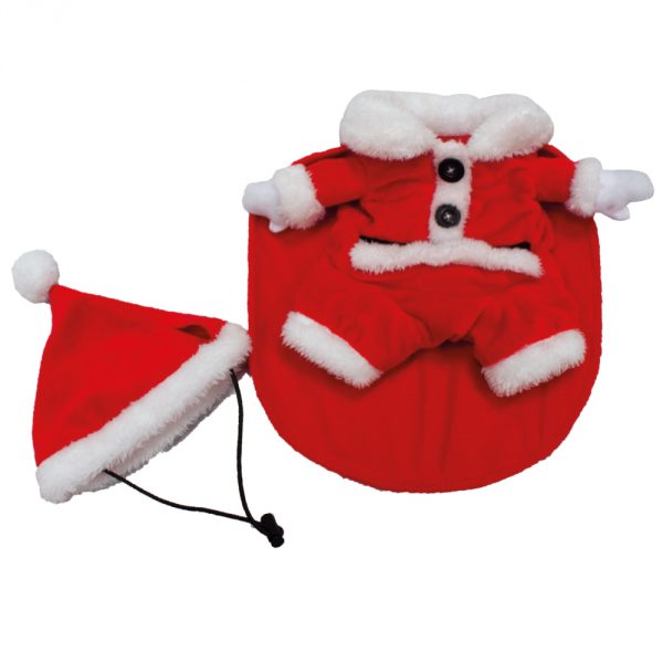 ������ Xmas Santa 30 �� + �����