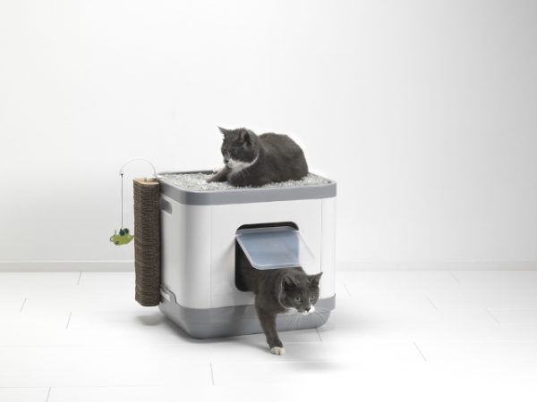 ������� �������� 3 � 1 Catconcept