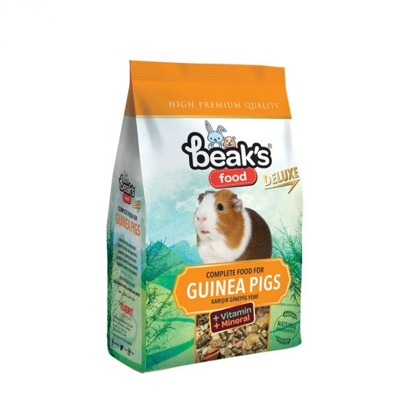 BEAKS GUINEA PIG-����� �� ��� �������� 500 �