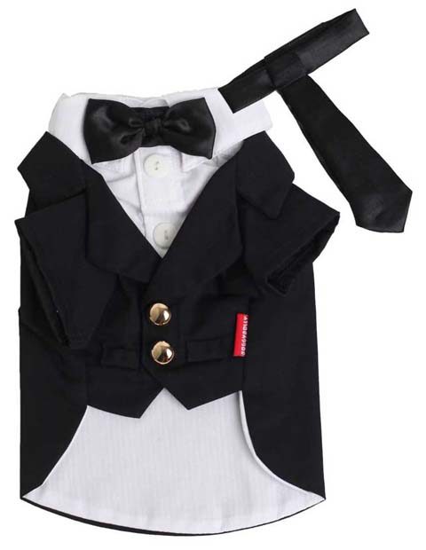 ���� Black white Tuxedo