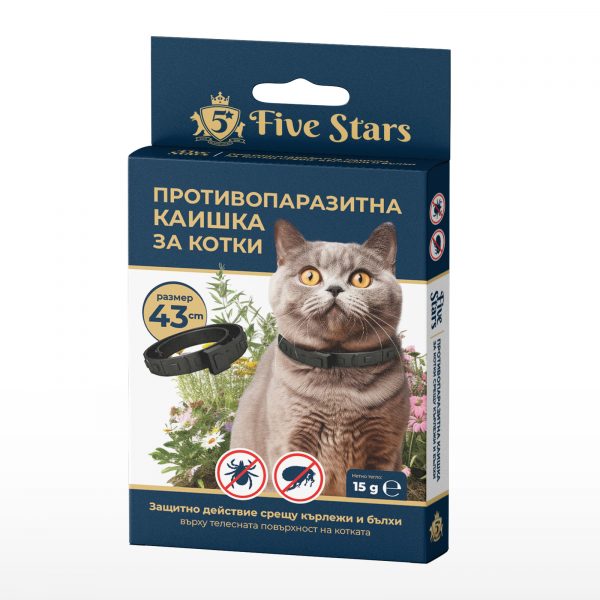 5 STARS �� ������ �� ����� 43 ��