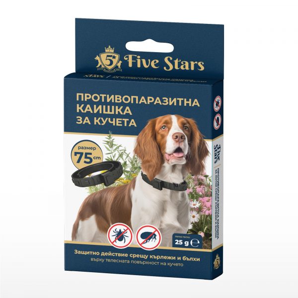 5 STARS �� ������ �� ���� 75 ��