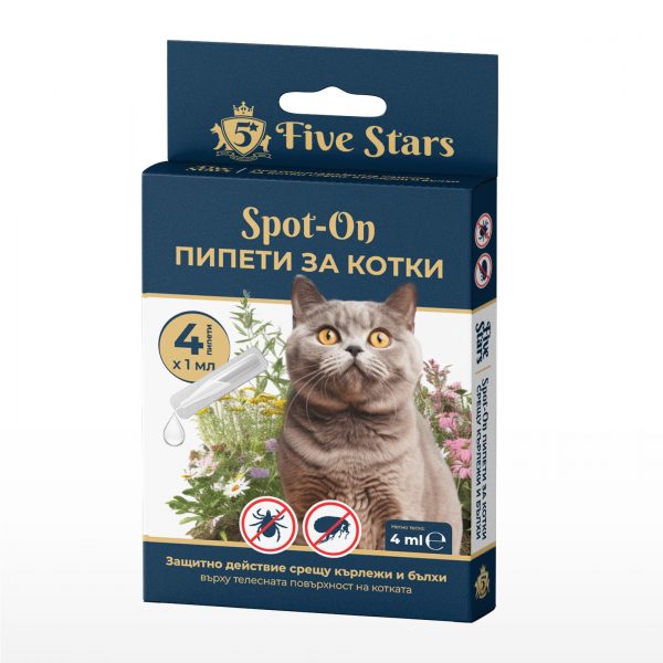 5 STARS �� ������ �� ����� 4x1 ��