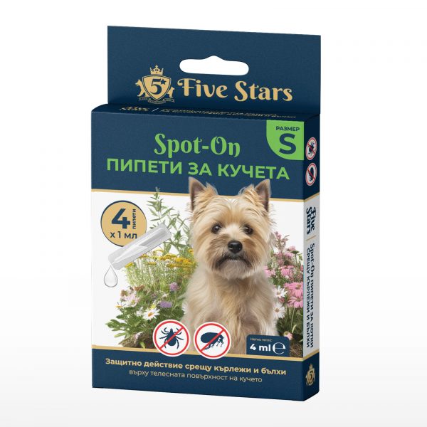 5 STARS �� ������ �� ���� S 4x1 ��