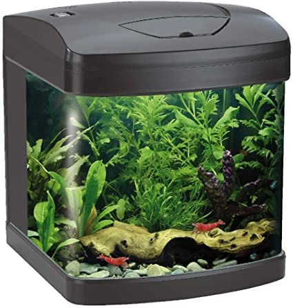 �������� XCUBE 26� LED �����