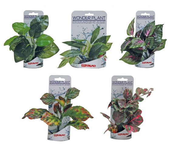 ���.�������� W�nder plant 15-18 ��