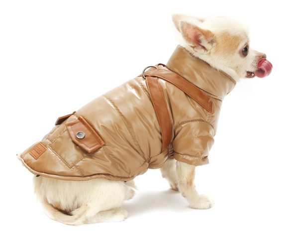 ��� ADVENTURER 