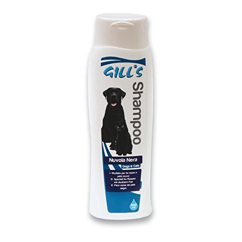������� Gills 200 �� ����� ������