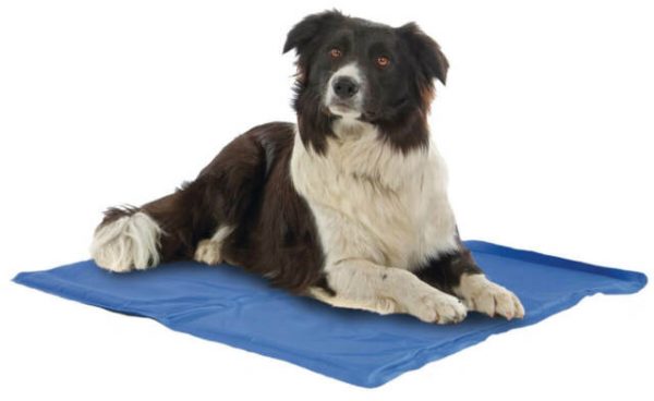 ����� Teppich Fresh 65/50 �� Croci