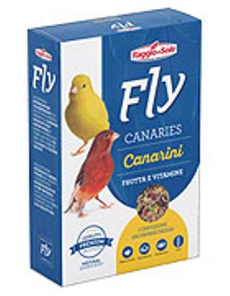 Fly ����� �� ��������� � ������ � �������� 300 ��