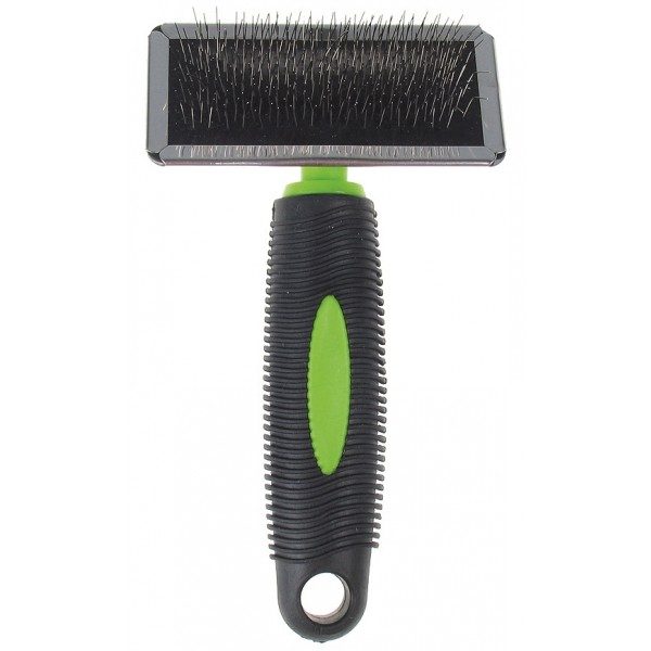 Tatrapet ����� ������ � 17/12 ��