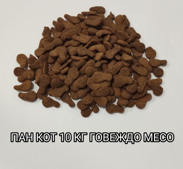 ��� ��� ������� 10 �� 29/12-���� ����� �� ����� 2