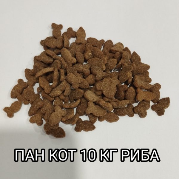 ��� ��� ���� 10 �� 26/10-���� ����� �� ����� 2