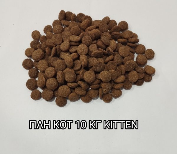 ��� ��� KITTEN 10 �� 31/15-���� ����� ���� ���� 2