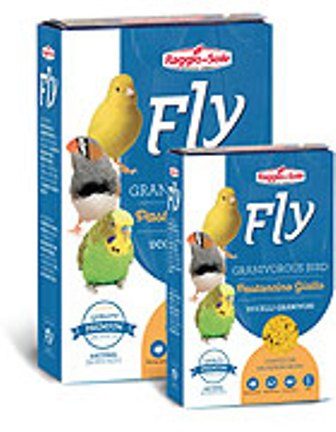 Fly ���� ����� ����� 300 ��