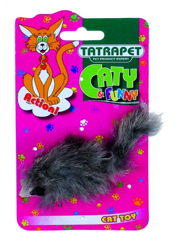 Tatrapet ����� � ���� �� �������