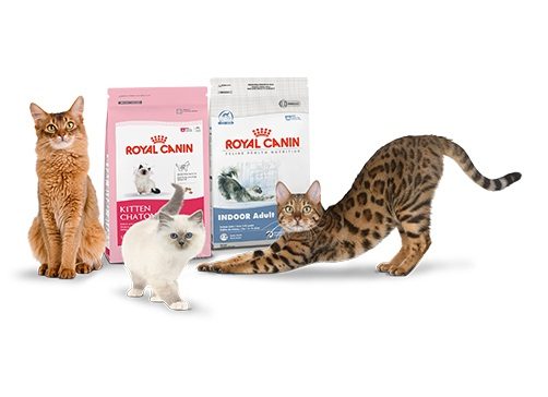 Royal Canin - ����� ���������� ����