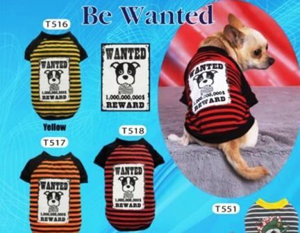 ������� Wanted  - yellow,orange,red
