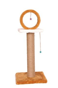 ������� Circle 33/33/80 �� - ������