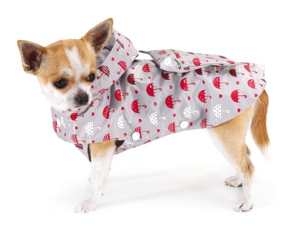 ��� - ��������� UMBRELLAS 