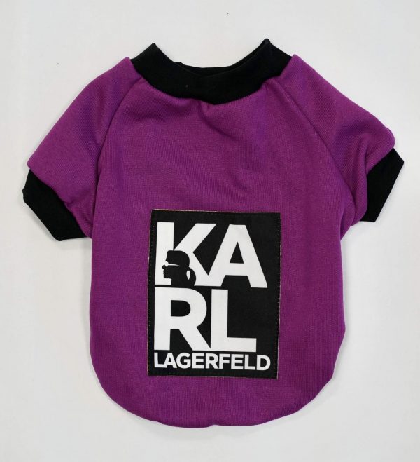������ ������ Karl /������/