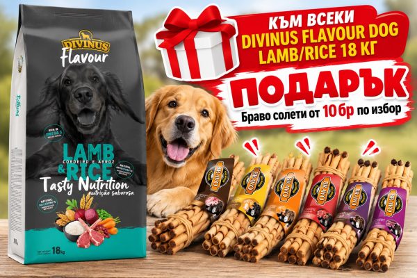 DIVINUS FLAVOUR DOG LAMB/RICE 18 ��
