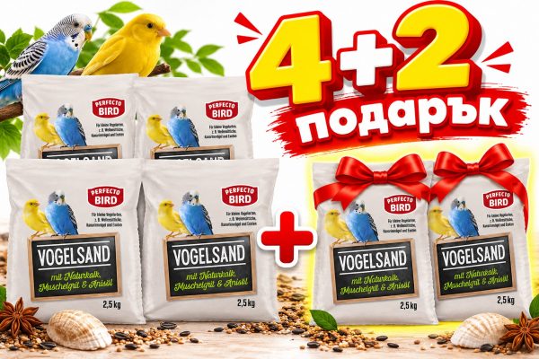 ����� �� ����� Perfecto Bird � ������ 2.5 ��